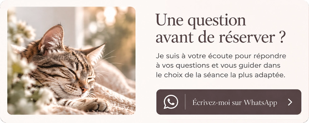 Contactez-moi par WhatsApp