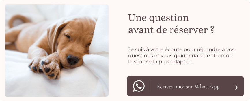 Contactez-moi par WhatsApp
