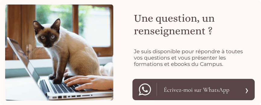 Contactez-moi par WhatsApp