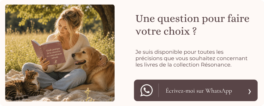 Contactez-moi par WhatsApp