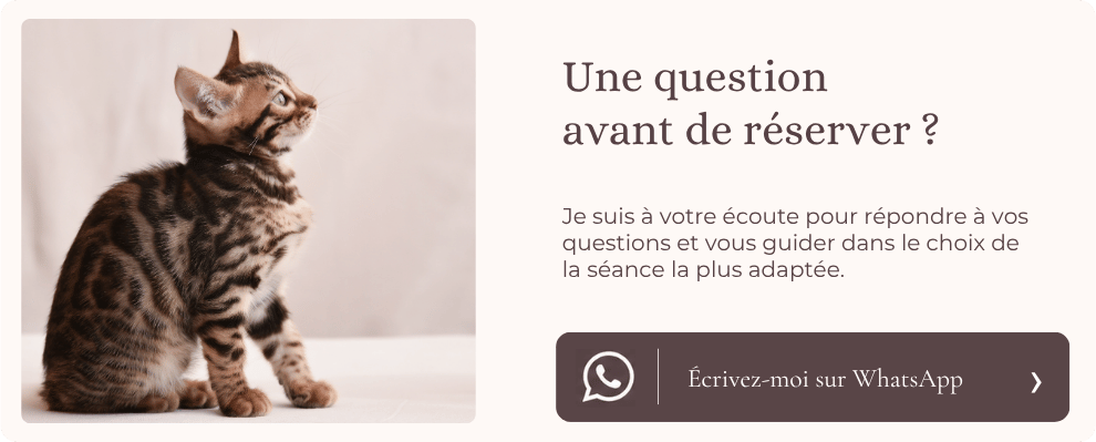 Contactez-moi par WhatsApp