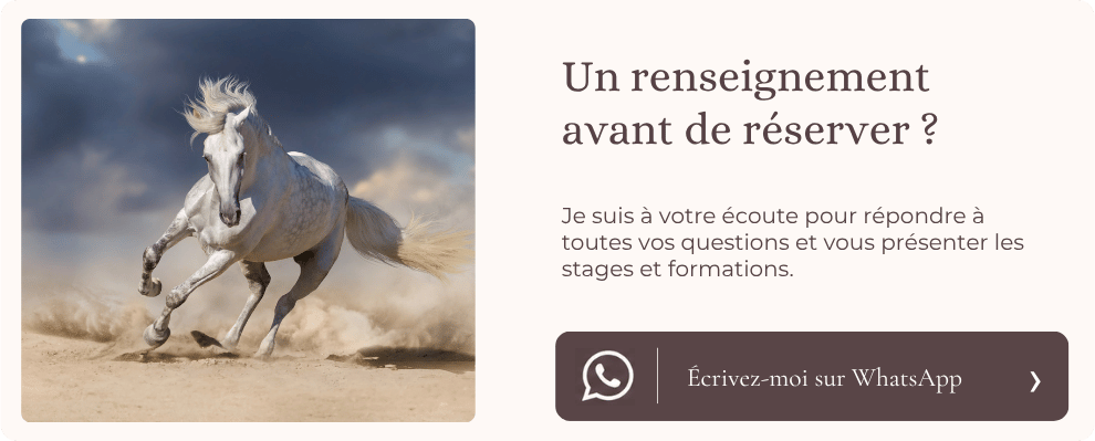 Contactez-moi par WhatsApp